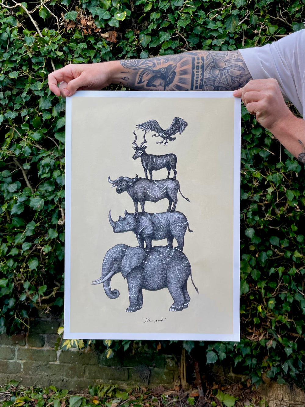 'Stampede' Print