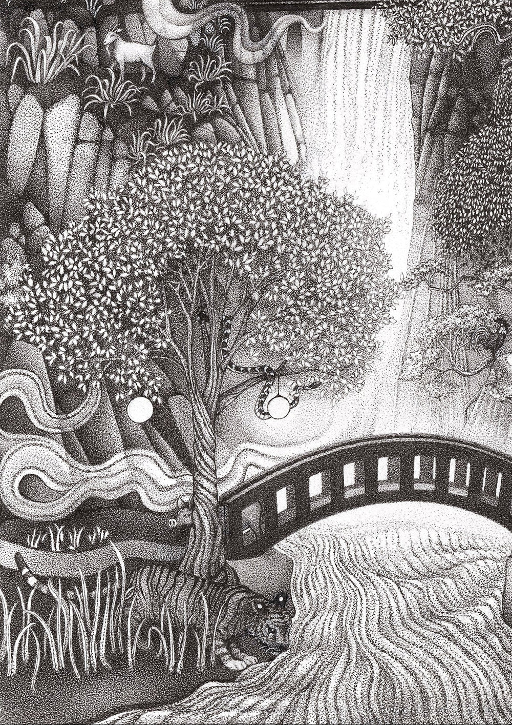 'Dragonwood' Original Art